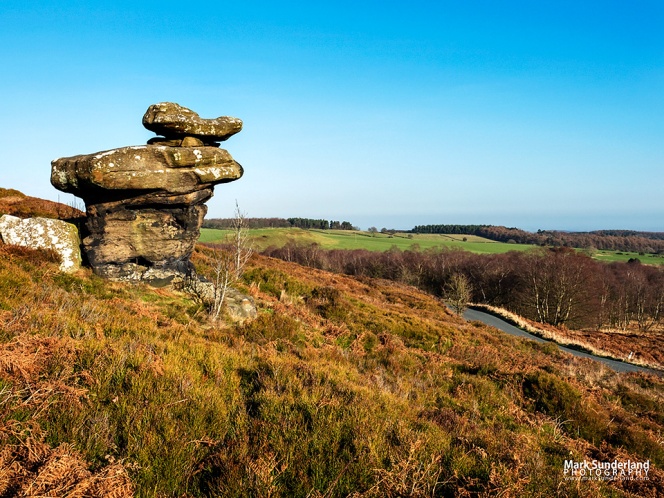 Rock Formation on Brimham Moor